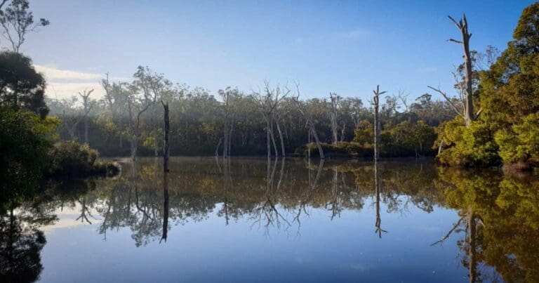 Walks and hikes near perth