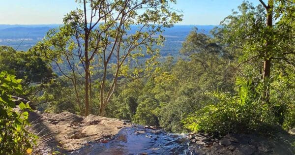 Sandy Creek Circuit Tamborine National Park Sandy creek circuit tamborine national park