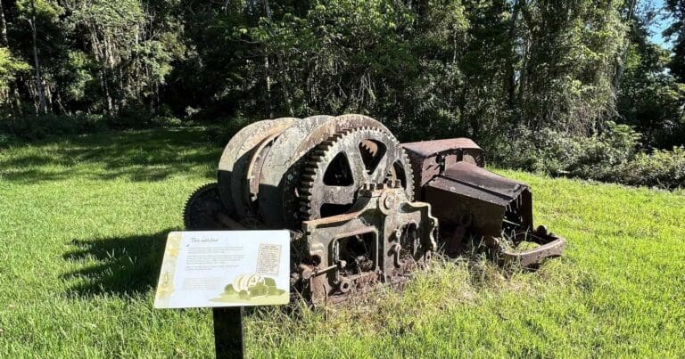 Winder Track Main Range National Park Winder track main range national park