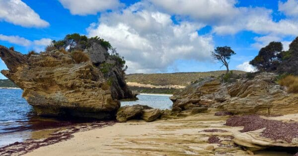Allports and Cave Beach Allports and cave beach