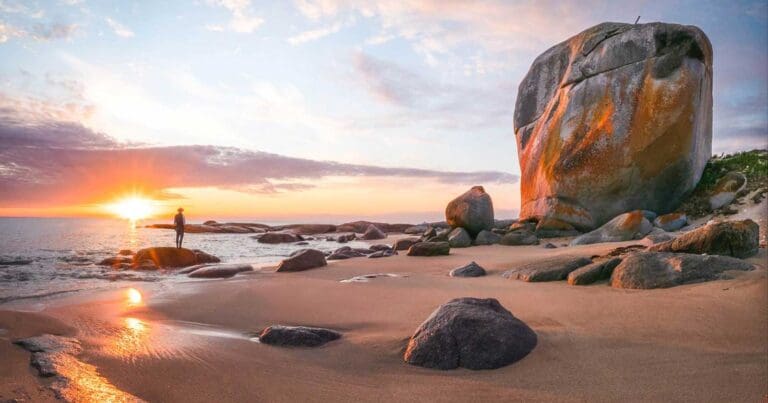 Walks and hikes near hobart