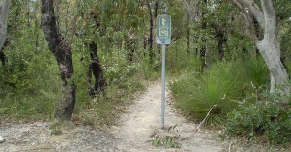 Engadine to Audley Walk Engadine to audley walk