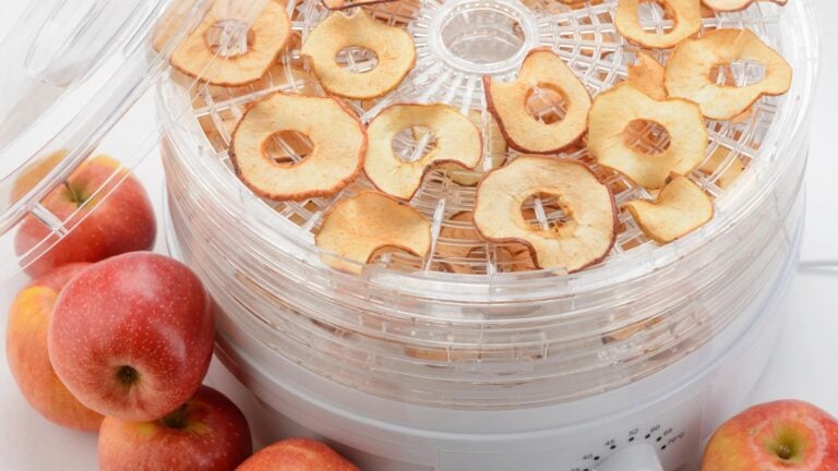 What to look for in a food dehydrator for hiking