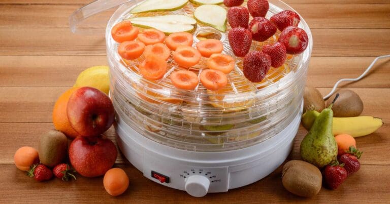 Food dehydrator for hiking