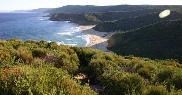 Garawarra Farm to Garie Beach Hike Garawarra farm to garie beach hike