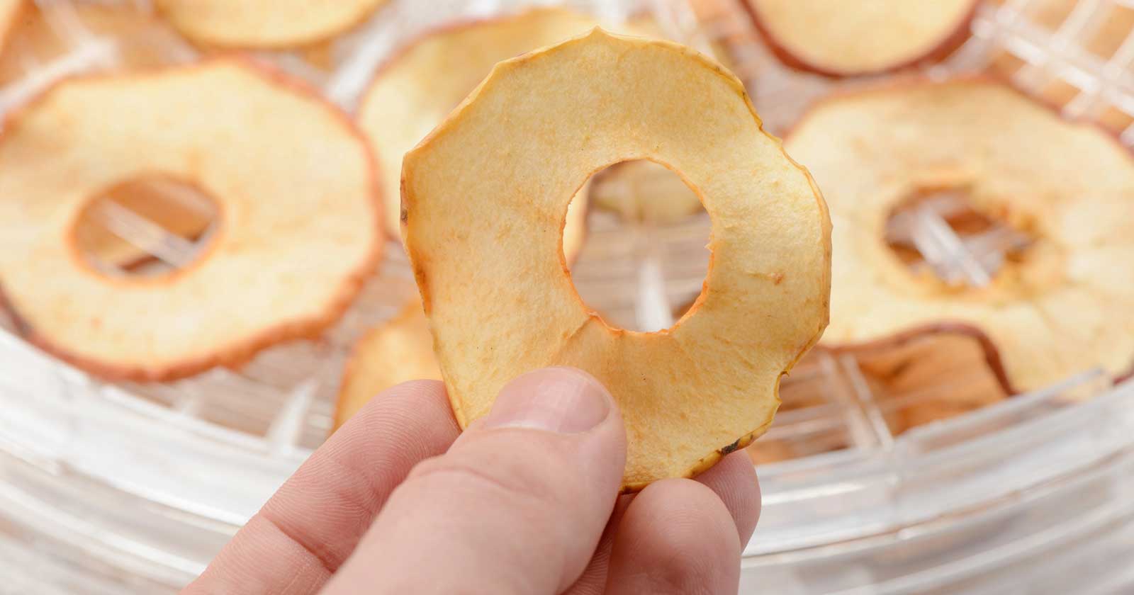 What to Look for in a Food Dehydrator for Hiking How long can you store dried foods