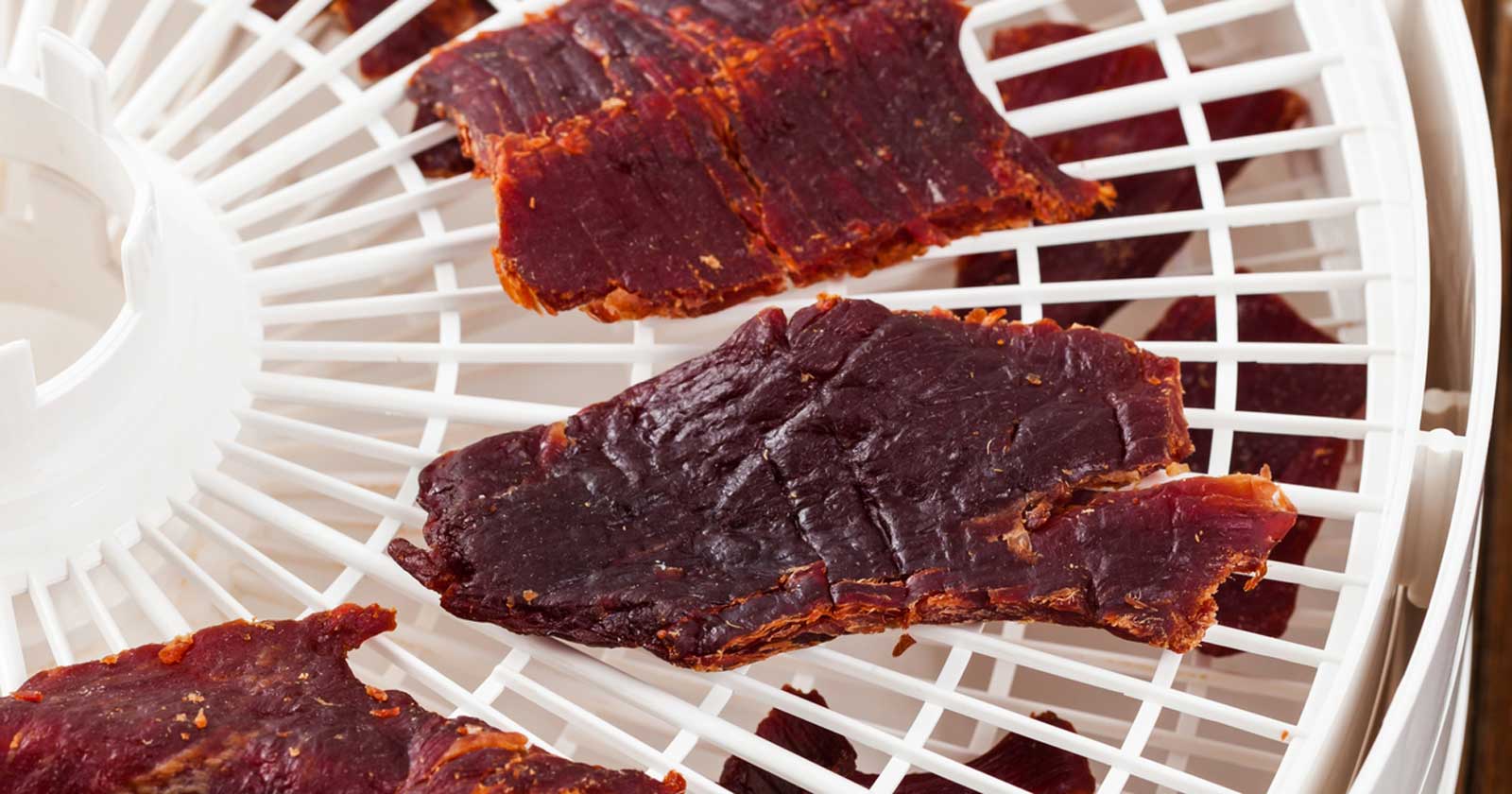What to Look for in a Food Dehydrator for Hiking How to store dried foods