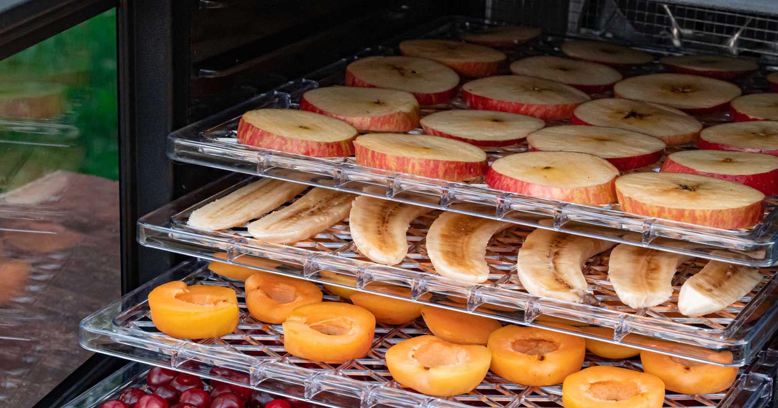 What to Look for in a Food Dehydrator for Hiking Key features to consider in a dehydrator