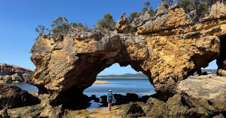 Find a hike or bushwalk