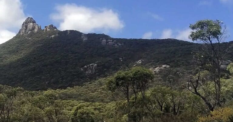 Walks and hikes near hobart