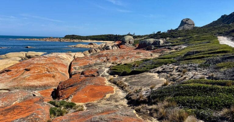Find a hike or bushwalk