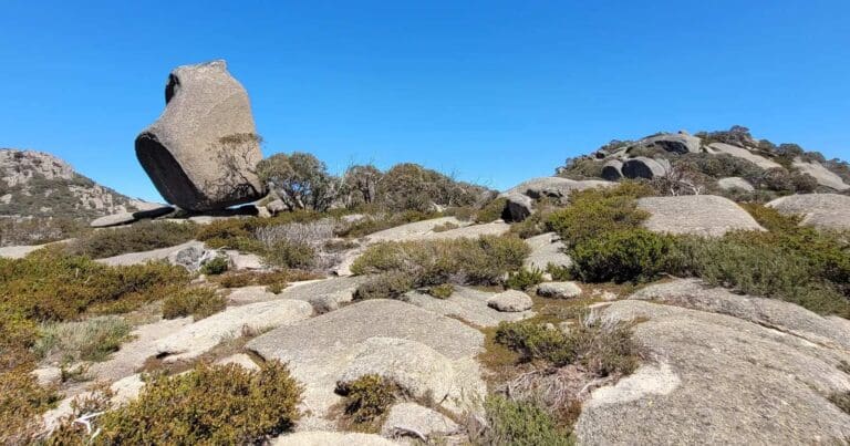 Walks and hikes near melbourne