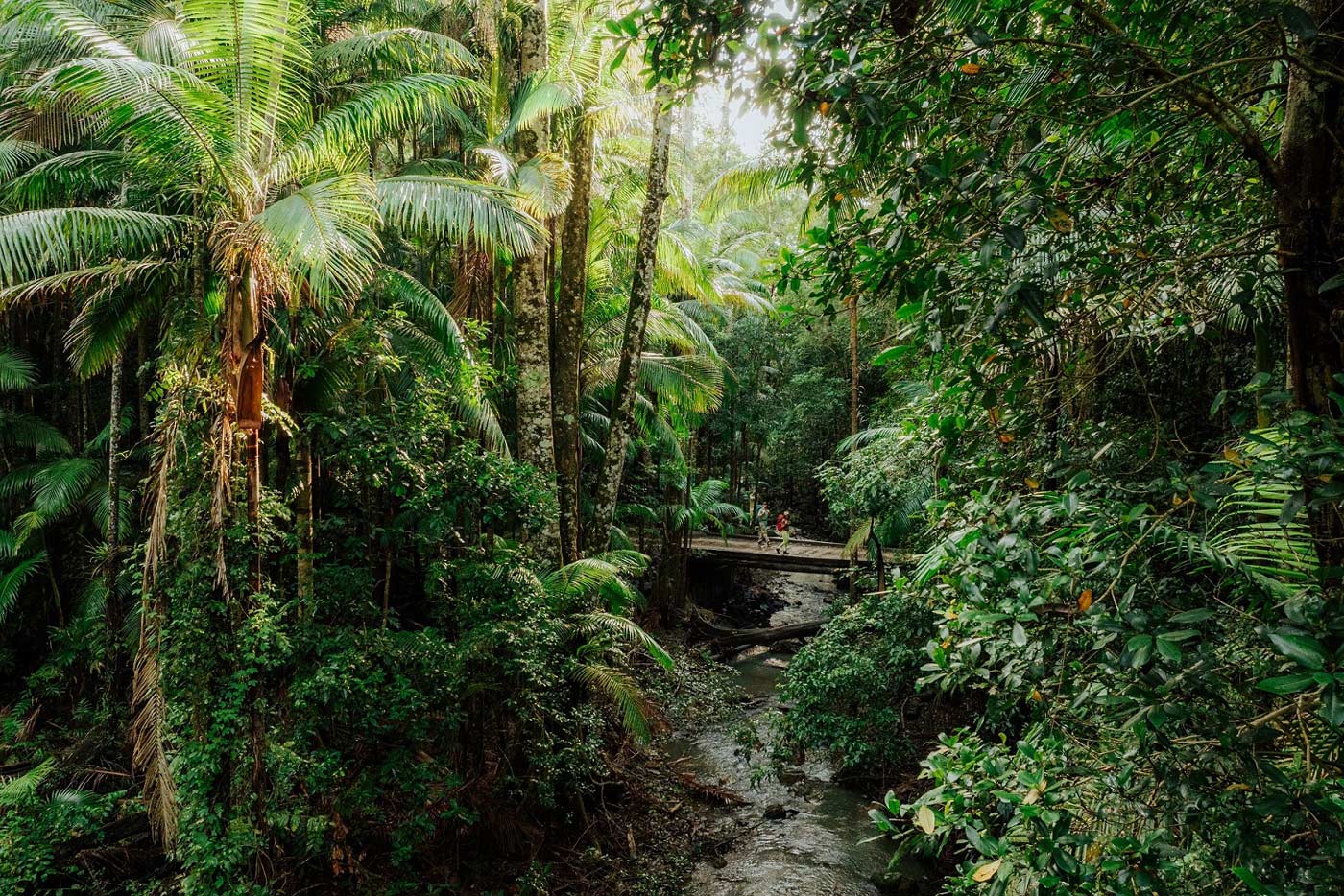 Gidjuum gulganyi walk