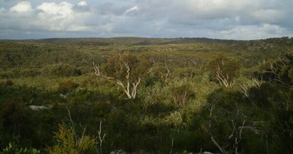 Royal national park