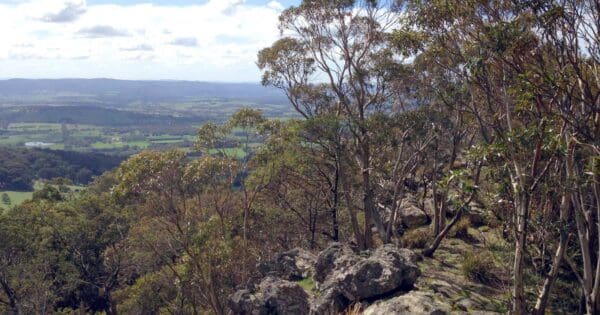 Macedon Ranges Walking Trail Macedon ranges walking trail