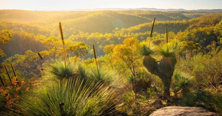 Position on trail access and development