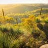 Position on trail access and development
