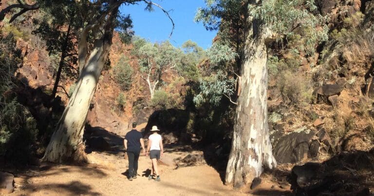 Walks and hikes near adelaide