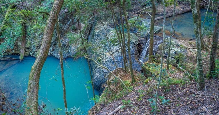 Unicorn Falls Walking Track Unicorn falls walking track