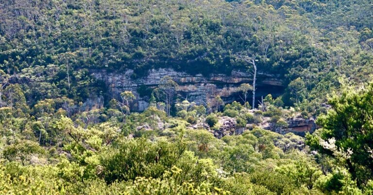 Find a hike or bushwalk