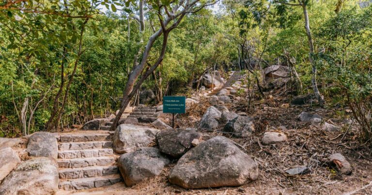 Find a hike or bushwalk