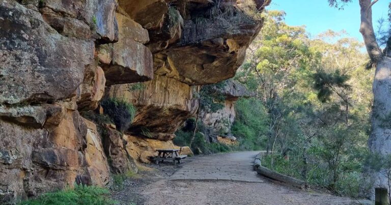 Walks and hikes near sydney