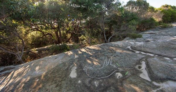 Jibbon Head Engravings Walk Jibbon head engravings walk