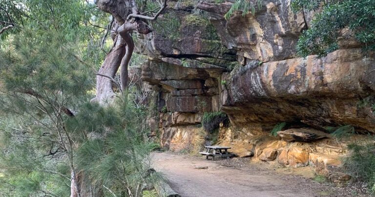 Find a hike or bushwalk