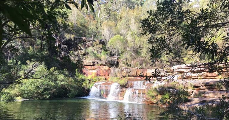 Find a hike or bushwalk