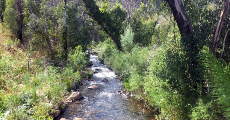 Find a hike or bushwalk