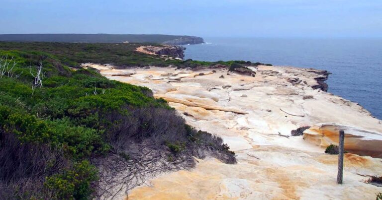 Find a hike or bushwalk