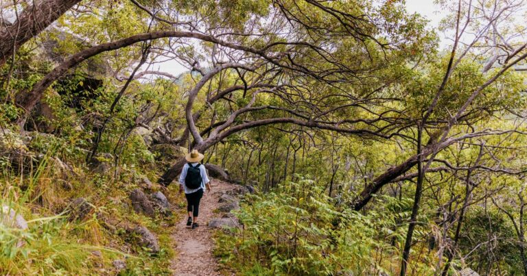 Find a hike or bushwalk