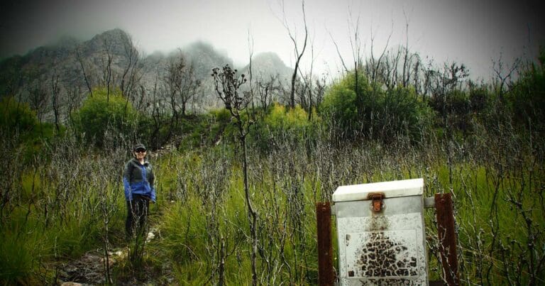 Walks and hikes near hobart
