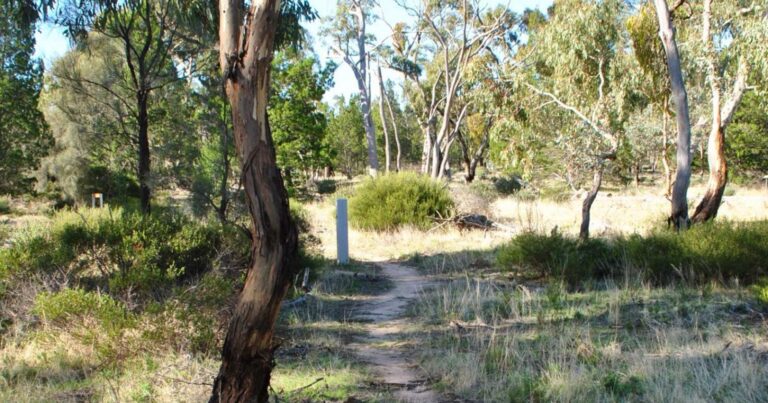Find a hike or bushwalk