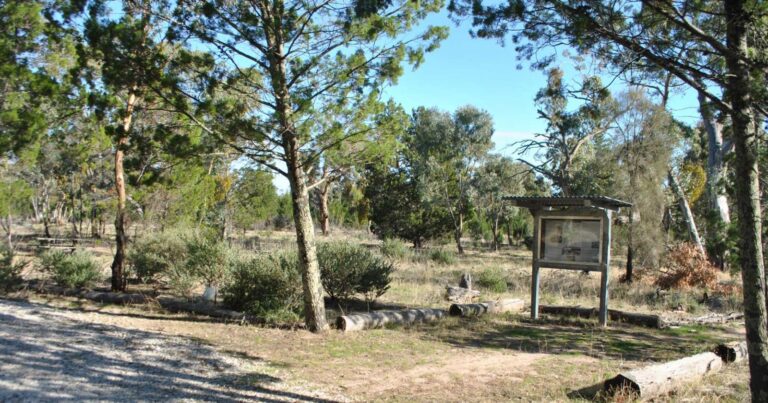 Wail scenic loop