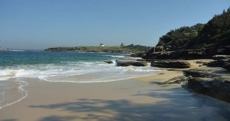 Walks and hikes near sydney