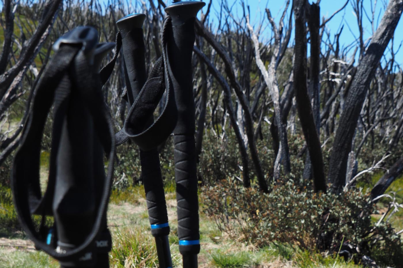 Eva foam hiking pole grips with adjustable wrist straps, shown resting upright in bushland