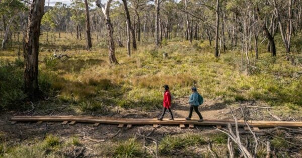 Broad Swamp Loop Walk Gardens of Stone NSW Broad swamp loop walk gardens of stone nsw
