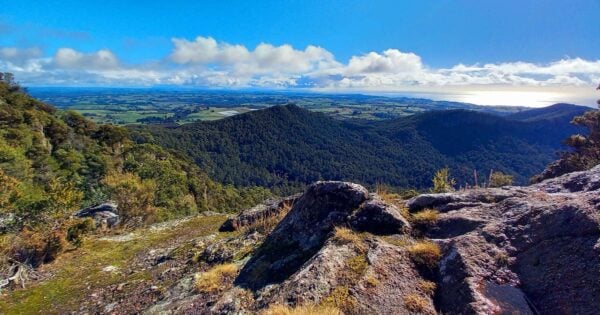 Mount Duncan Track Mount duncan track