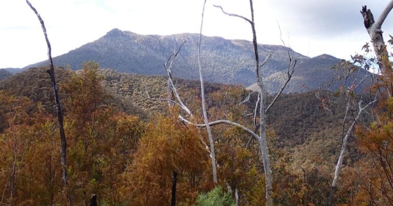 Walks and hikes near melbourne