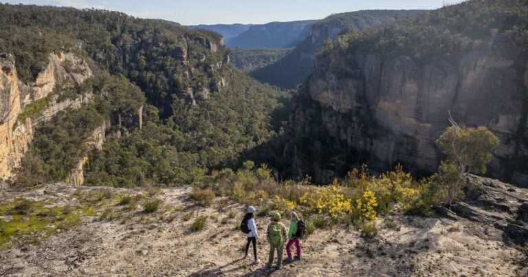 Walks and hikes near sydney
