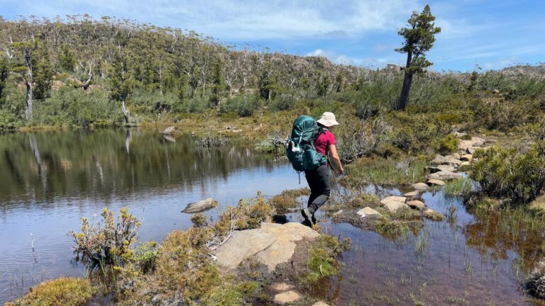 How much weight should a hiking pack carry: limits, comfort, and safety