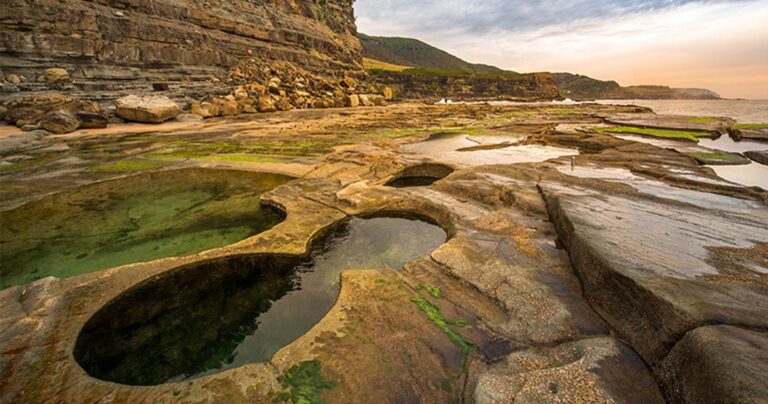 Find a hike or bushwalk