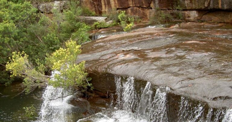 Find a hike or bushwalk