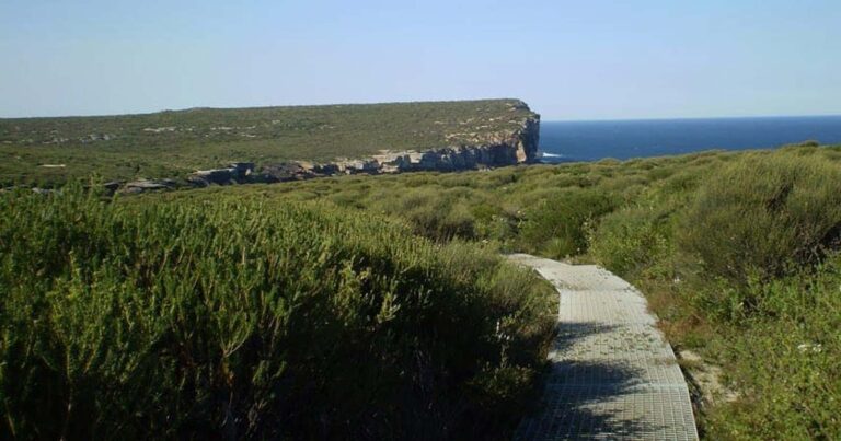 Find a hike or bushwalk