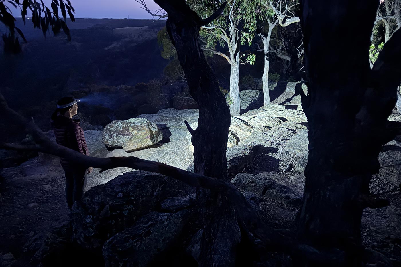 Nitecore hc65 uhe cutting through the darkness on a night hike.