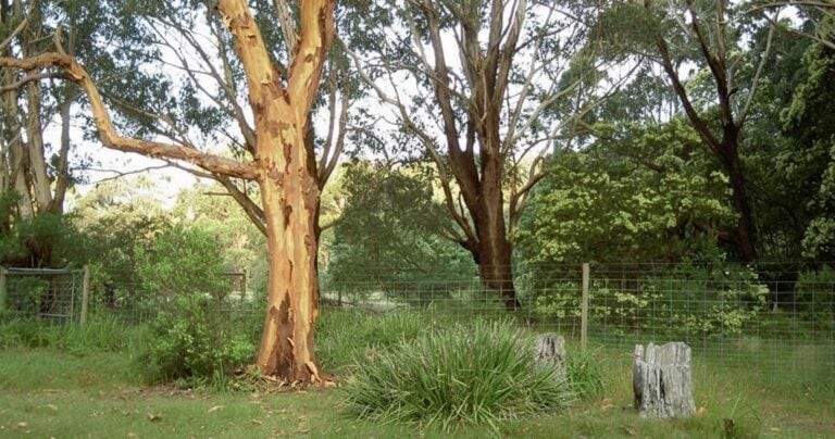 Find a hike or bushwalk