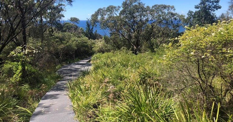 Find a hike or bushwalk