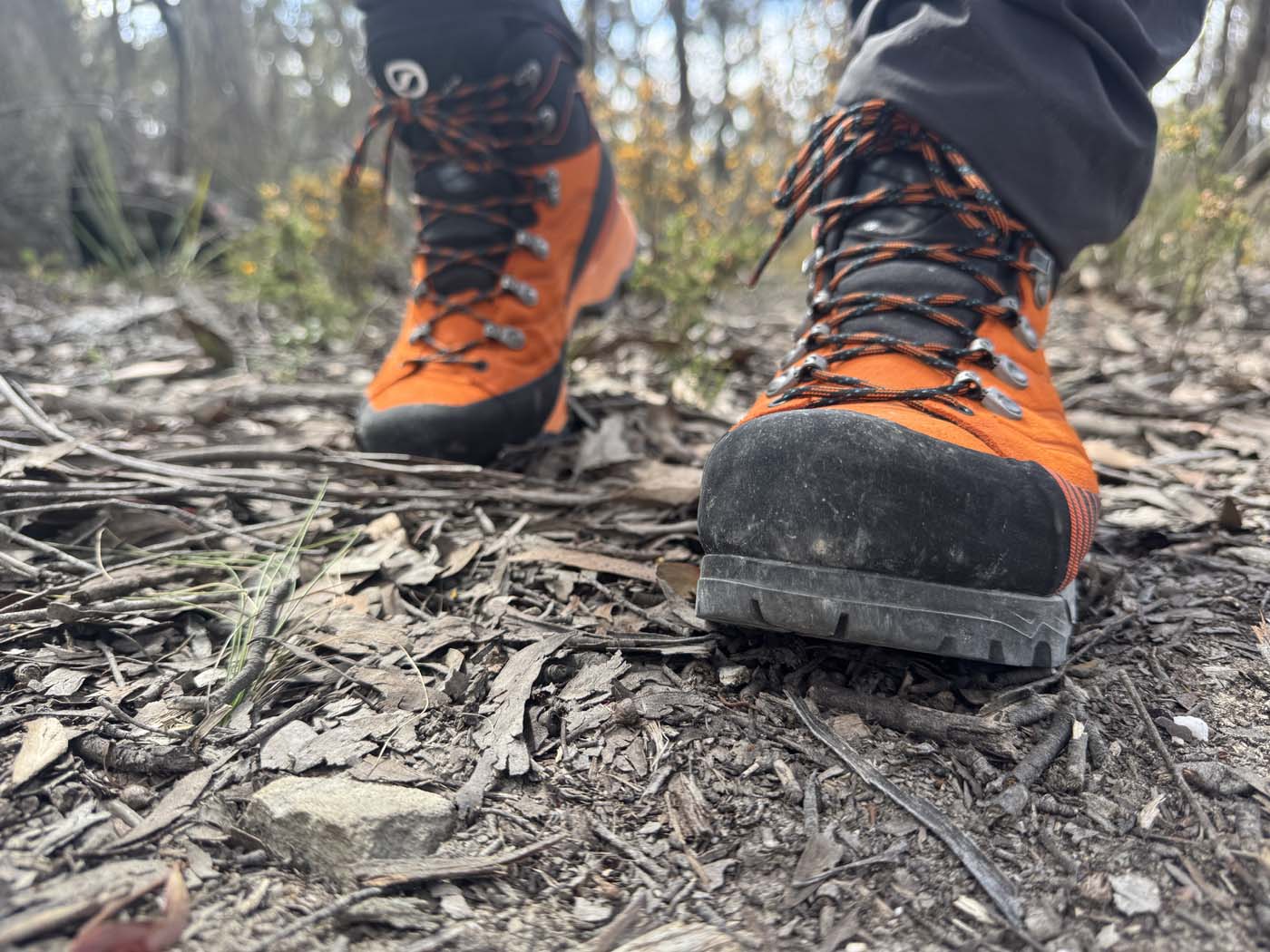 SCARPA Ribelle TRK GTX Hiking Boots Review The ribelle trk gtx handling the trail terrain with ease.