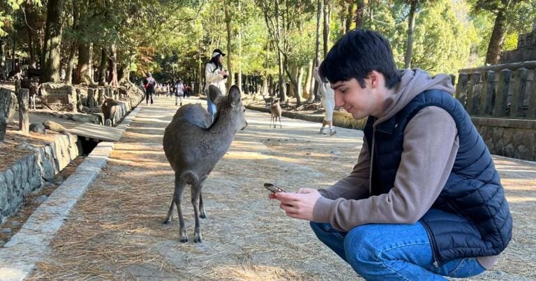 Holafly esim review | staying connected in japan